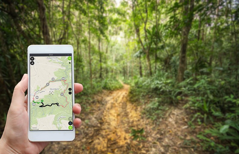 Hand hält weißes Smartphone mit QGIS-Karte und GPS-Track auf dem Display vor einem Waldweg; zeigt mobile GIS-Anwendung QField für die Geodatenerfassung im Gelände.
